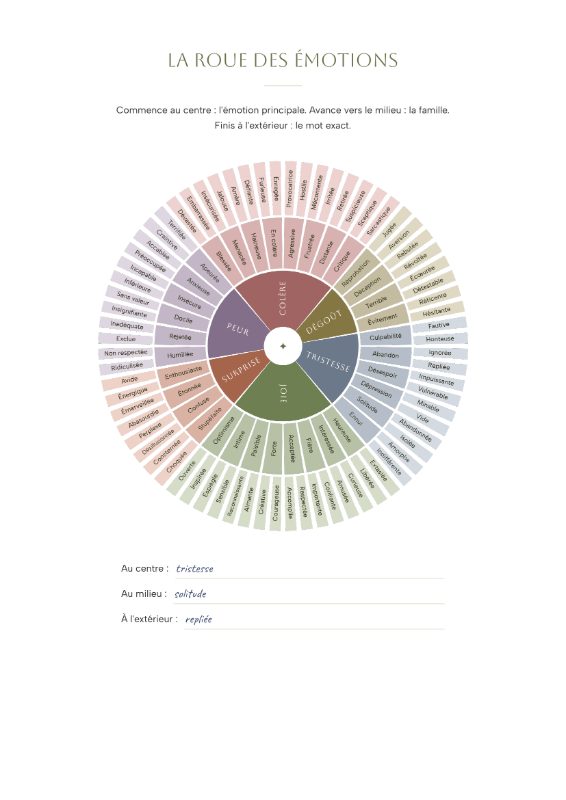 La roue des émotions, page remplie à la main